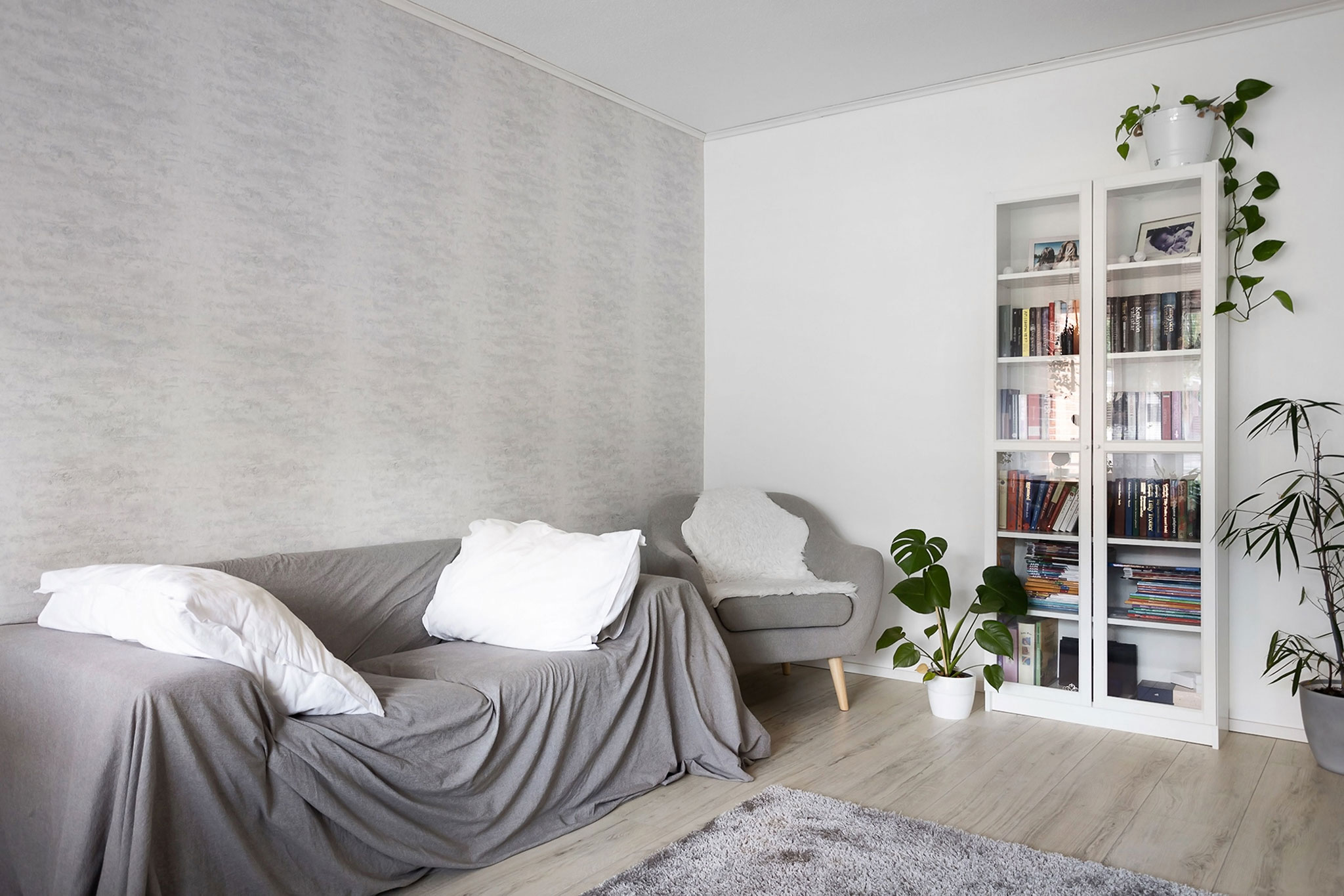 jasny salon z szarą sofą i roślinami