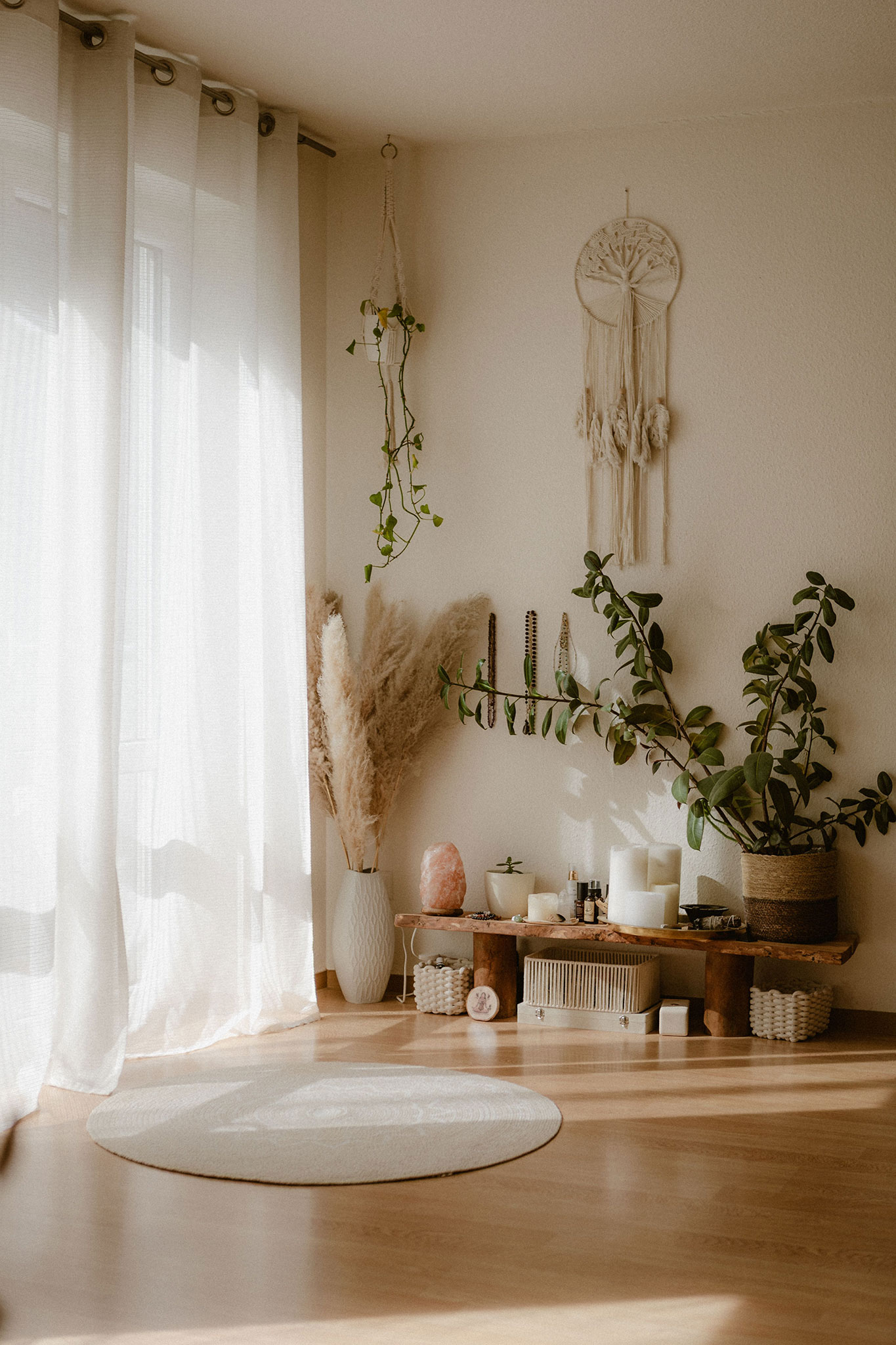 jasny kącik boho z makramą, trawą pampasową i roślinami