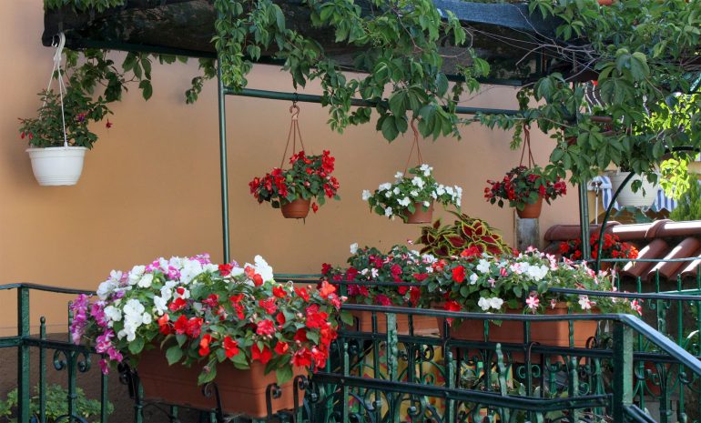 kwiaty na balkon i taras w skrzynkach oraz wiszących donicach
