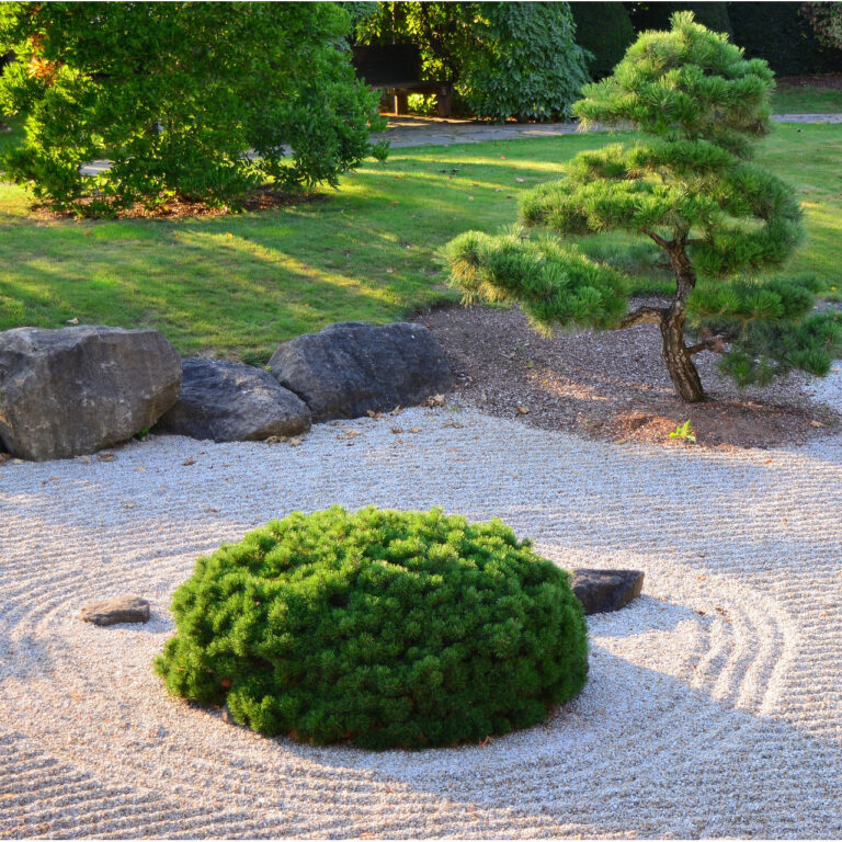 Mały ogród w stylu japońskim – jak stworzyć harmonijną przestrzeń