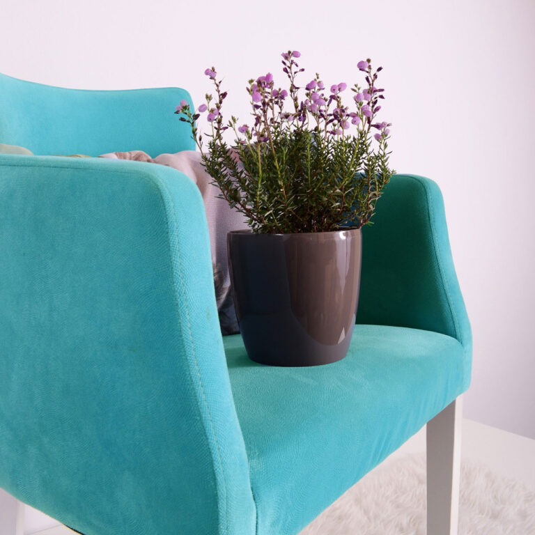 Donice do salonu: jak wybierać? Zobacz nasze inspiracje!