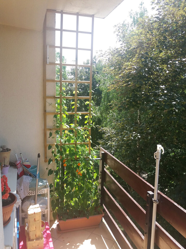 Pergola na balkonie w bloku – Twój prywatny raj w wielkomiejskim otoczeniu