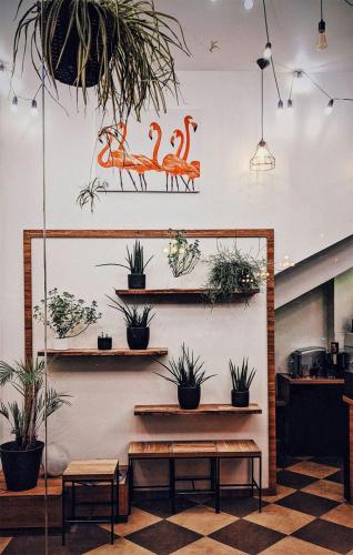 grafiki na ścianie w przedpokoju