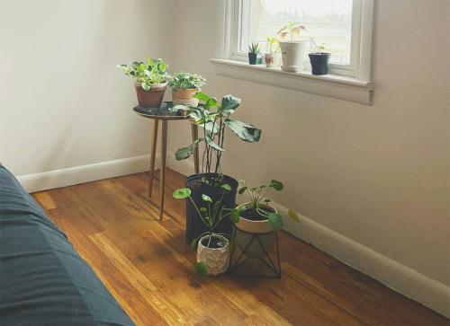 naturalne drewno ajko panele w sypialni