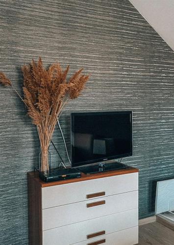 nowoczesne tło za telewizorem